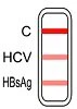 اختبار HBsAg و HCV 2 في 1 السريع